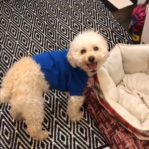 Meet your Posher, Helen